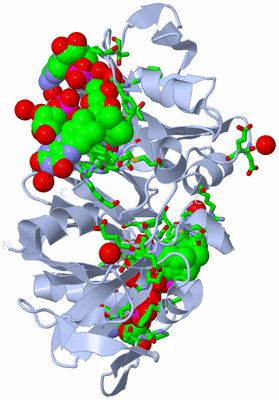 Image Biol. Unit 1 - sites