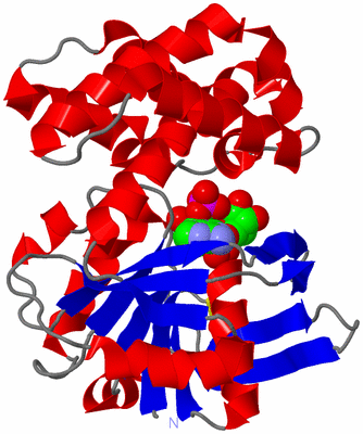 Image Asym./Biol. Unit