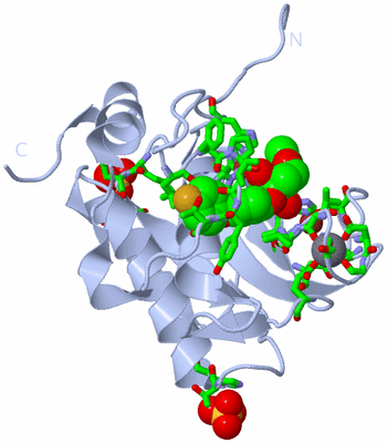 Image Biol. Unit 1 - sites