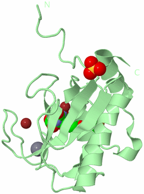 Image Biological Unit 2