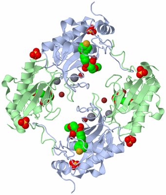 Image Biological Unit 3