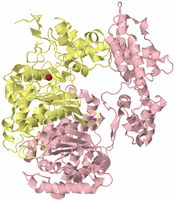 Image Biological Unit 2