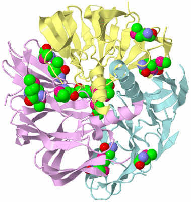 Image Biological Unit 2