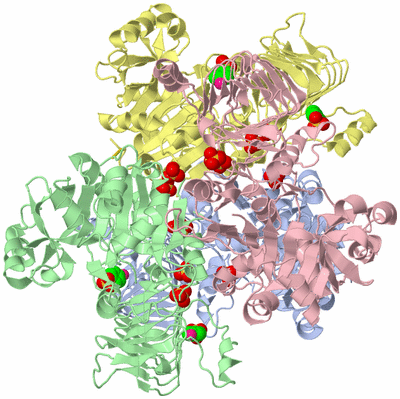 Image Asym./Biol. Unit