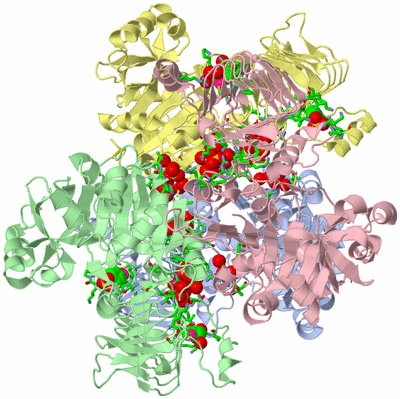 Image Asym./Biol. Unit - sites