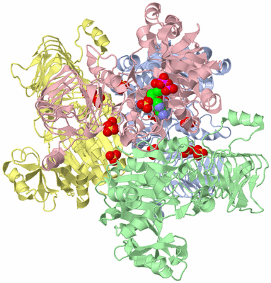 Image Asym./Biol. Unit