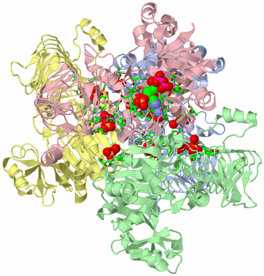 Image Asym./Biol. Unit - sites