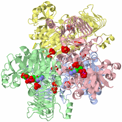 Image Asym./Biol. Unit