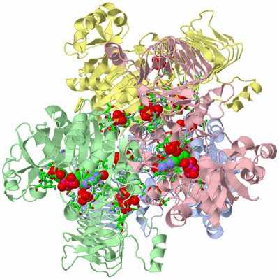 Image Asym./Biol. Unit - sites