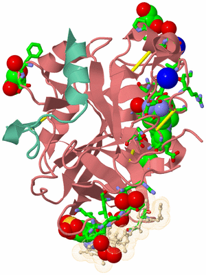 Image Asym./Biol. Unit - sites