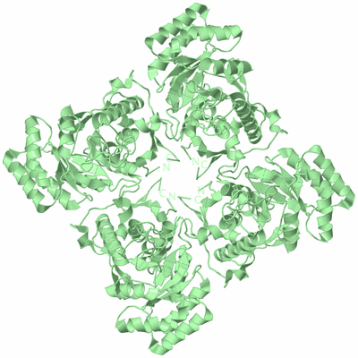 Image Biological Unit 3