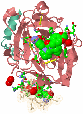 Image Asym./Biol. Unit - sites