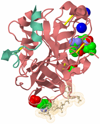 Image Asym./Biol. Unit