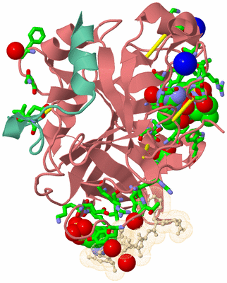 Image Asym./Biol. Unit - sites