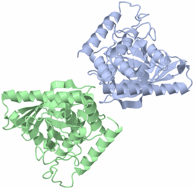 Image Asym./Biol. Unit