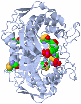 Image Biological Unit 1