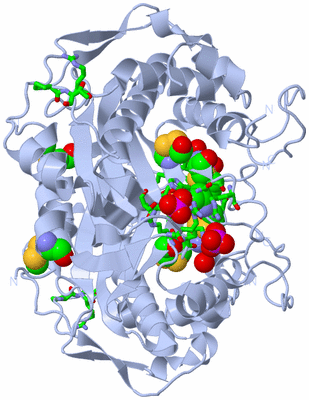 Image Biol. Unit 1 - sites