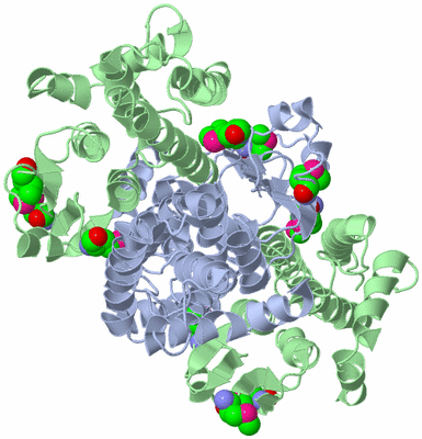 Image Biological Unit 2