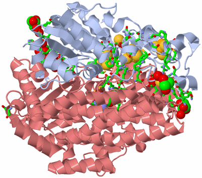 Image Biol. Unit 1 - sites