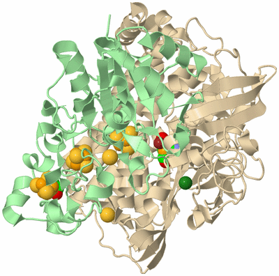 Image Biological Unit 2