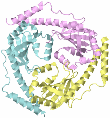 Image Biological Unit 2