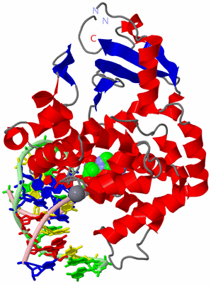 Image Asym./Biol. Unit