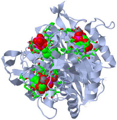 Image Biol. Unit 1 - sites