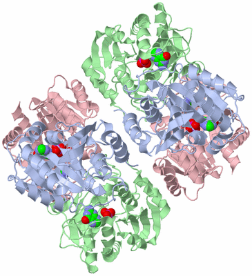 Image Biological Unit 1