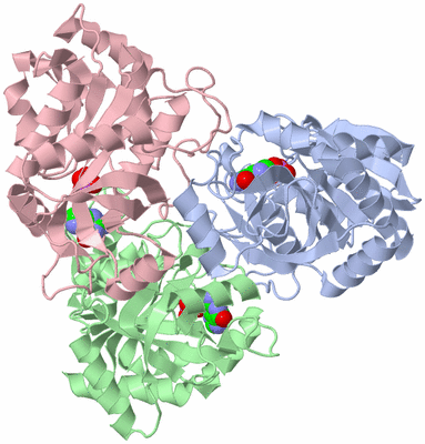 Image Biological Unit 2