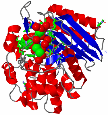 Image Asym./Biol. Unit - sites