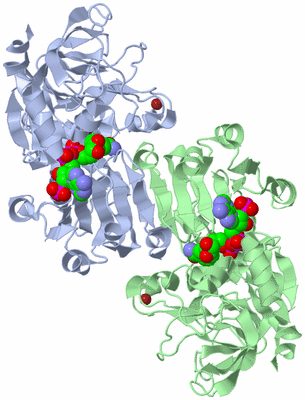 Image Asym./Biol. Unit