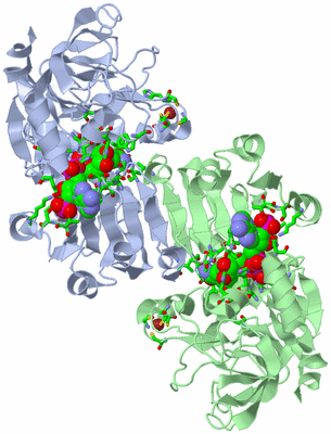 Image Asym./Biol. Unit - sites