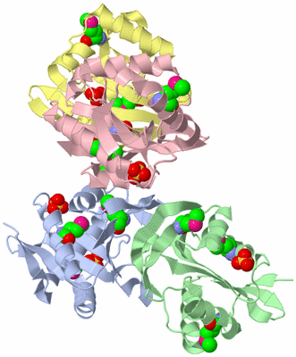 Image Asymmetric Unit