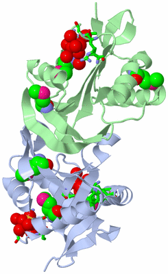 Image Biol. Unit 1 - sites