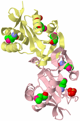 Image Biological Unit 2