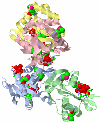 Image Asym. Unit - sites