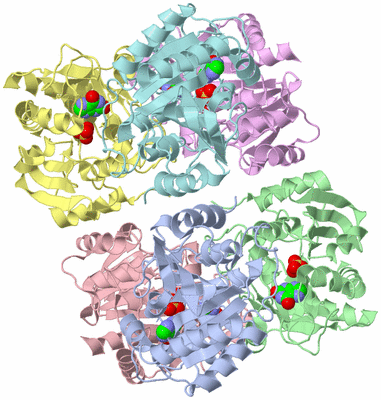 Image Asym./Biol. Unit