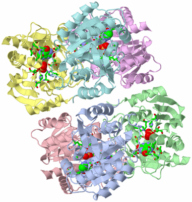 Image Asym./Biol. Unit - sites