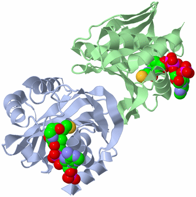 Image Biological Unit 1