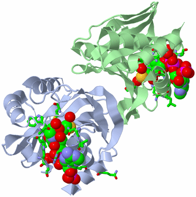 Image Biol. Unit 1 - sites