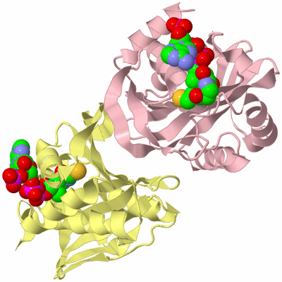 Image Biological Unit 2