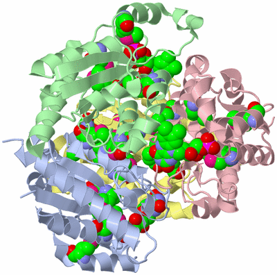 Image Biological Unit 1