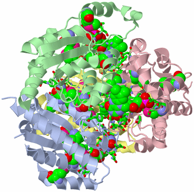 Image Biol. Unit 1 - sites