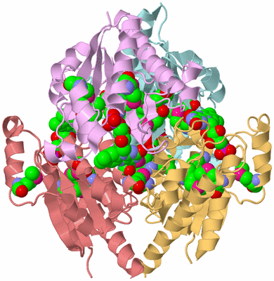 Image Biological Unit 2