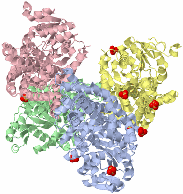 Image Asym./Biol. Unit