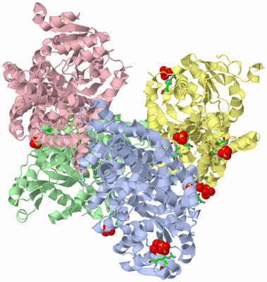 Image Asym./Biol. Unit - sites