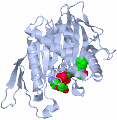 Image Biological Unit 1