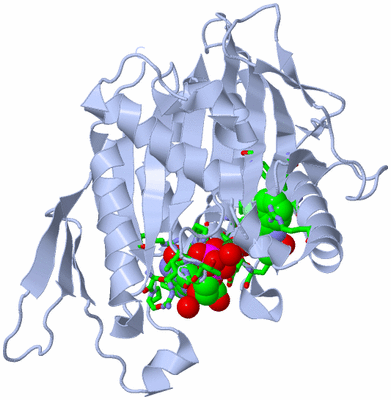 Image Biol. Unit 1 - sites