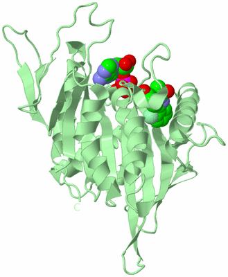 Image Biological Unit 2