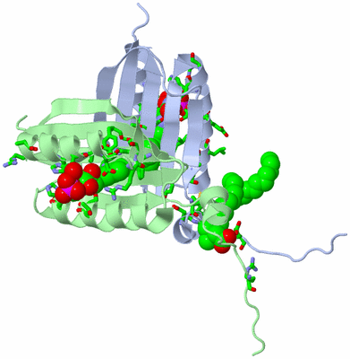 Image Biol. Unit 1 - sites